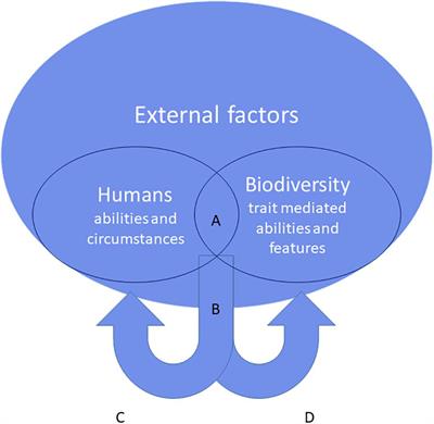 Making Sense of Biodiversity: The Affordances of Systems Ecology